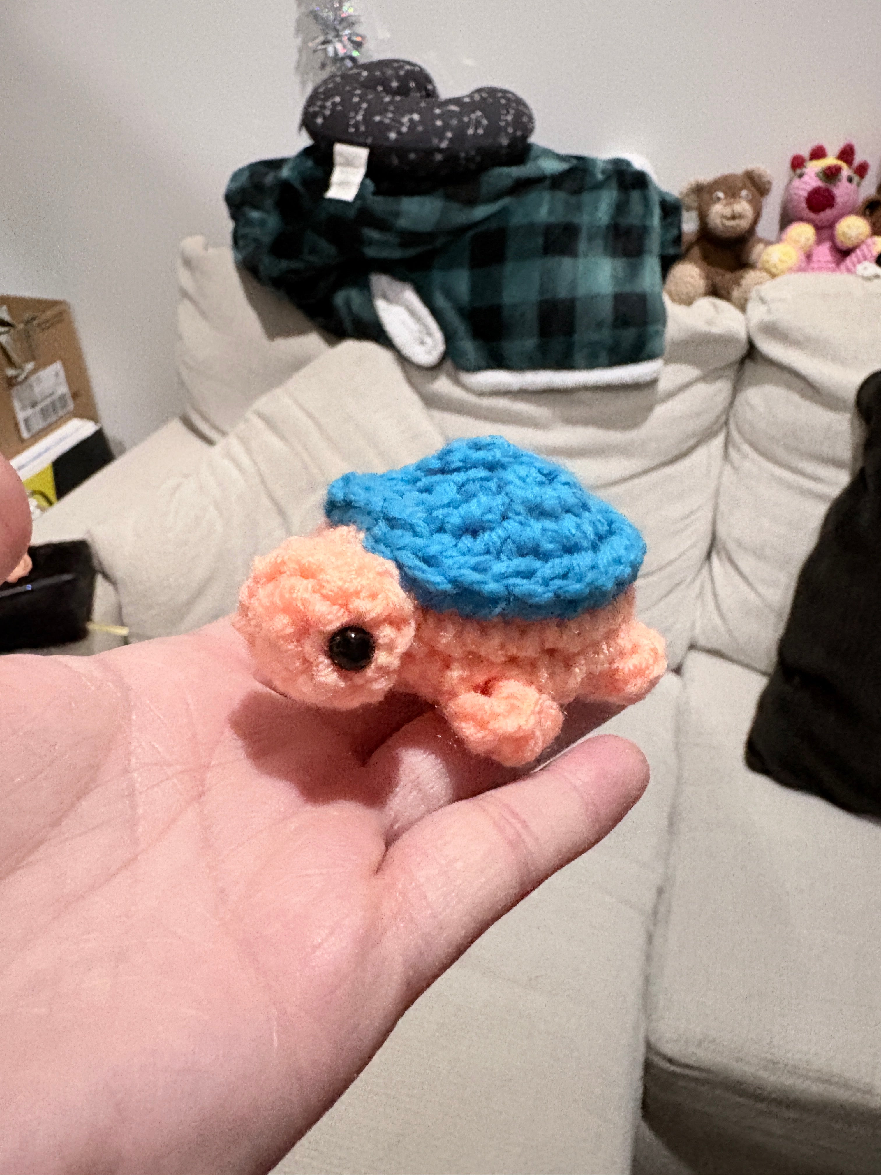 Mini Turtle